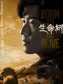 邵云飞（张哲华饰演）